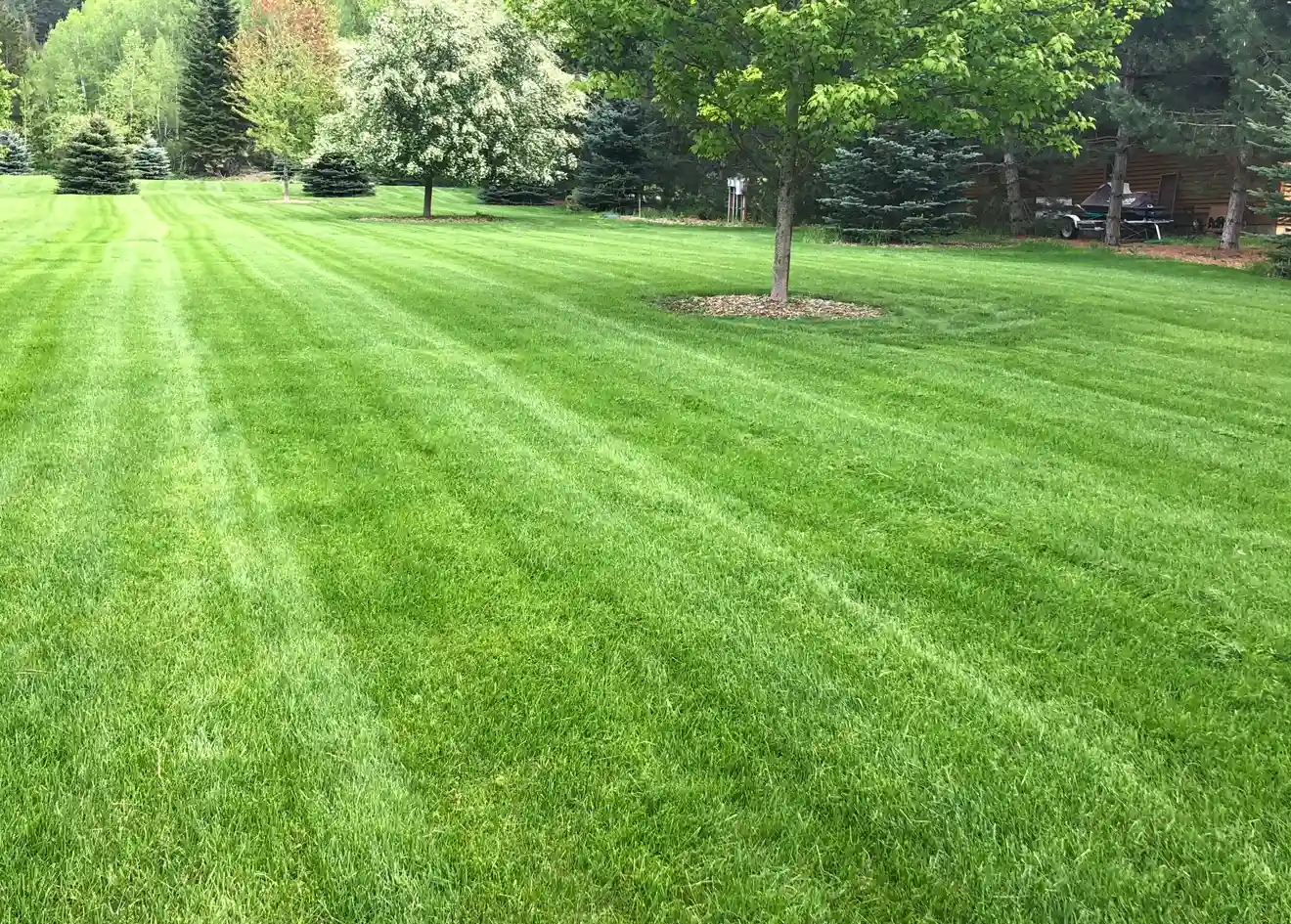 Lawn Care Idaho Falls
